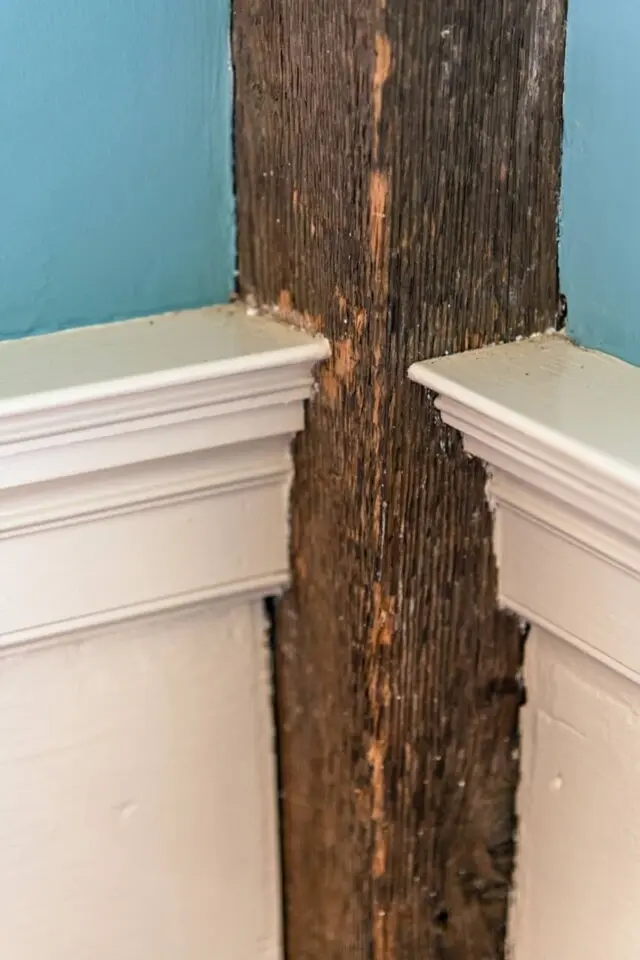 2019 08 Main St Turketta Cutrona 8710